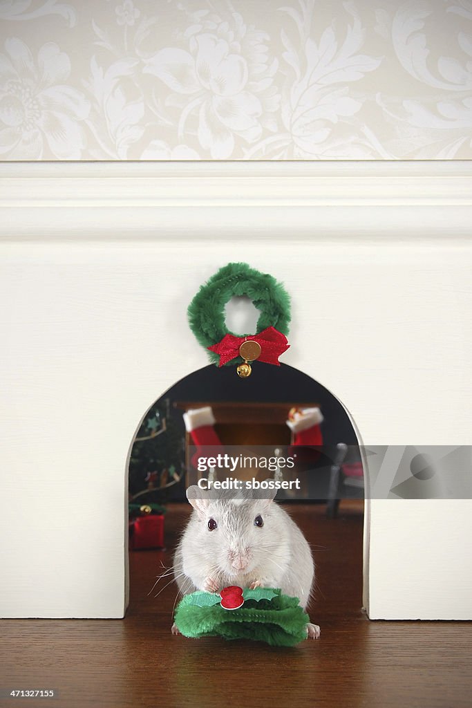 Decorating the Mouse Hole for Christmas