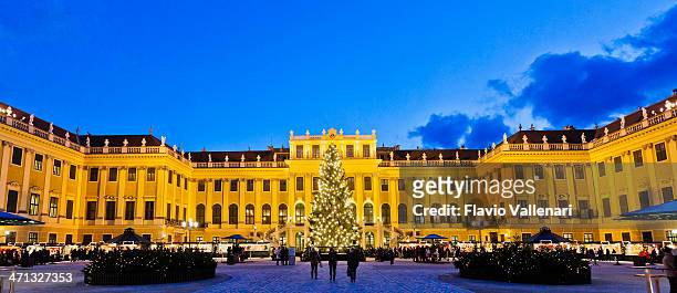 christmas at schönbrunn, vienna - schonbrunn palace vienna stock pictures, royalty-free photos & images