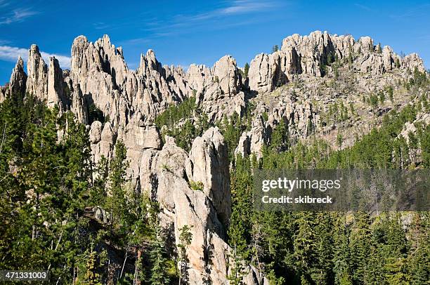 &quot;the needles&quot; in custer state park, south dakota - black hills south dakota stock pictures, royalty-free photos & images