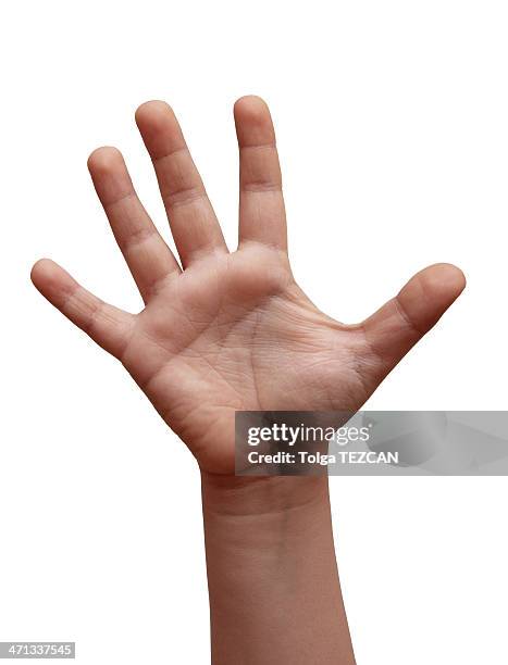 offene hand (isoliert - handfläche stock-fotos und bilder