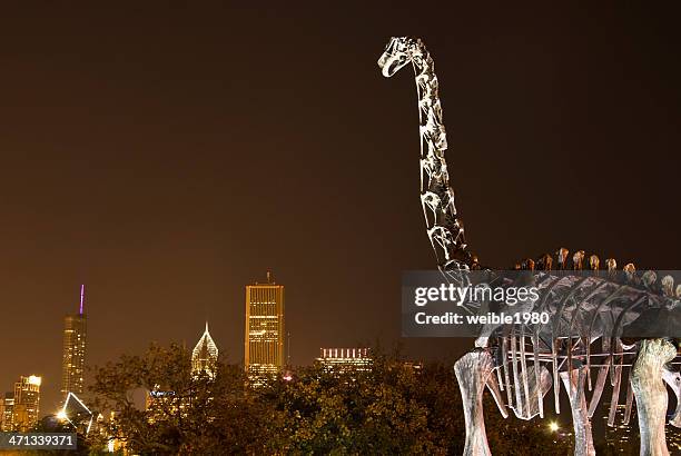 the field museum of natural history - chicago - bright chicago city lights stock pictures, royalty-free photos & images