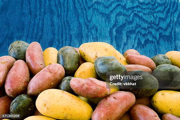 assorted potatoes - peruvian potato stock pictures, royalty-free photos & images