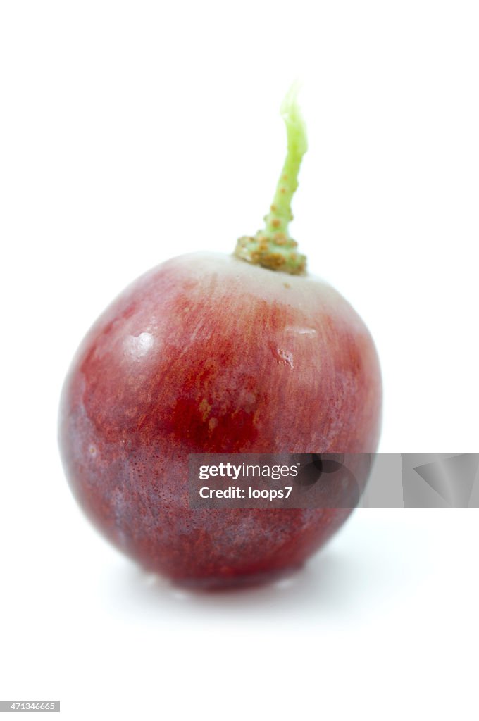 Single red grape