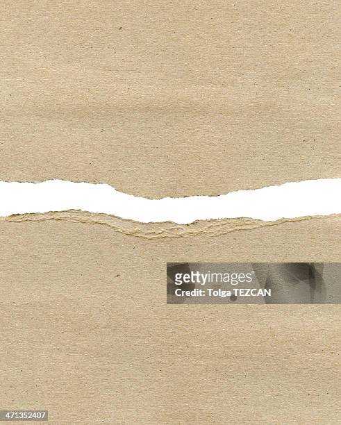 papel mangona - curled paper imagens e fotografias de stock