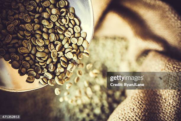 green raw coffee bean crop - rohe kaffeebohne stock-fotos und bilder