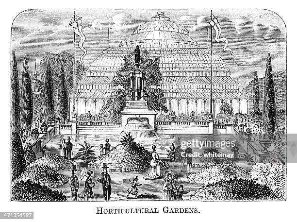 horticultural gardens, london (1871 engraving) - conservatory stock illustrations