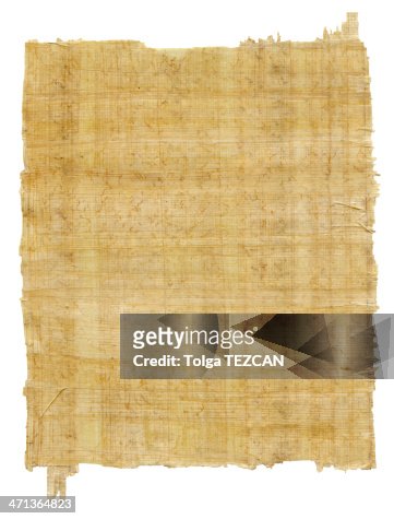1,613 Papyrus Paper Stock Photos, High-Res Pictures, and Images - Getty  Images