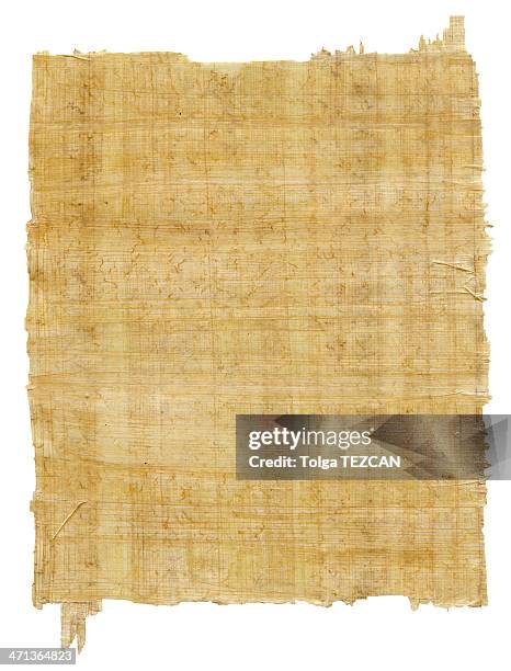 folha de -xxxl papyrus - papiro - fotografias e filmes do acervo