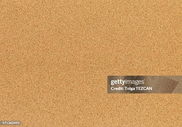 seamless texture di sughero - sughero foto e immagini stock