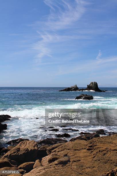 beach scene - laguna beach california stock pictures, royalty-free photos & images