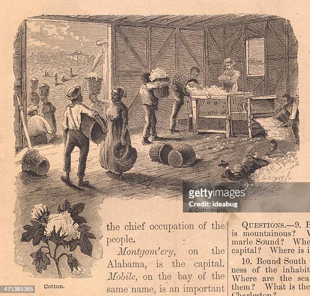 ilustraciones, imágenes clip art, dibujos animados e iconos de stock de old, blanco y negro ilustración de algodón de ginebra, del siglo xix - slaves picking cotton