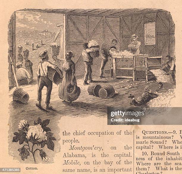 old, black and white illustration of cotton gin, from 1800's - children slavery stock illustrations