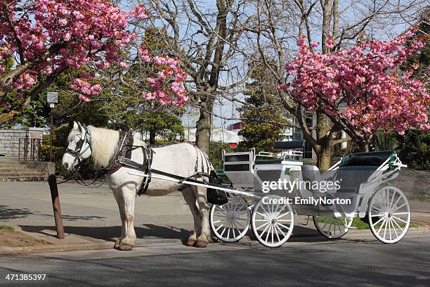 horsedrawn carriage - carriage wheel stock pictures, royalty-free photos & images