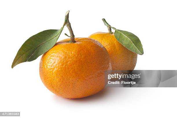 fruit: tangerine isolated on white background - mandarijn stockfoto's en -beelden