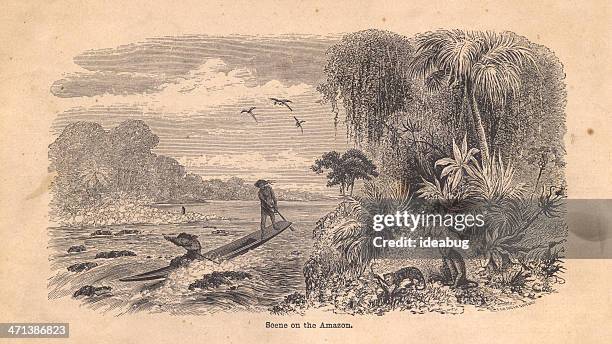 256点のアマゾン川イラスト素材 Getty Images 256点のアマゾン川イラスト素材 Getty Images