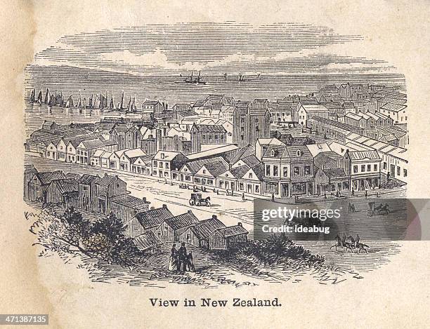 old, black and white illustration view in new zealand, 1800's - house new zealand stock illustrations