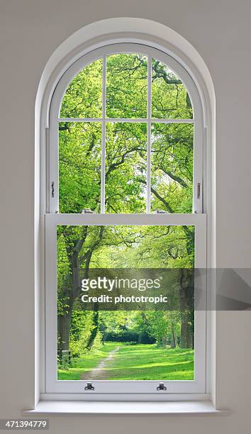 white arched window and parkland view - natural parkland 個照片及圖片檔