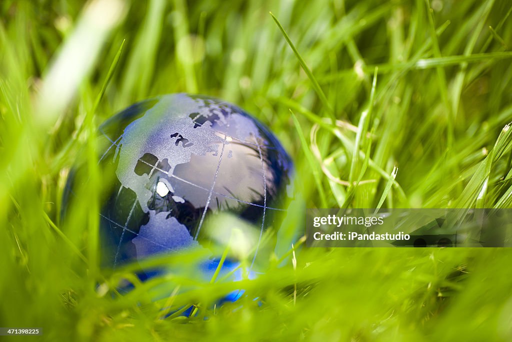 Glass globe on grass