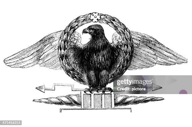 roman eagle - aquila heliaca stock illustrations