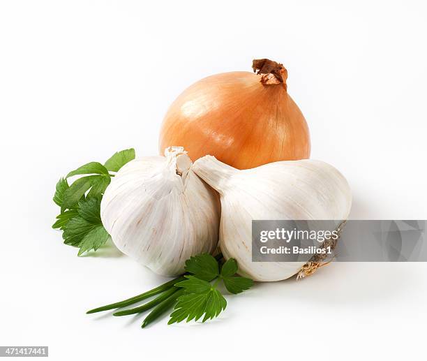 garlic and onion - garlic stock pictures, royalty-free photos & images
