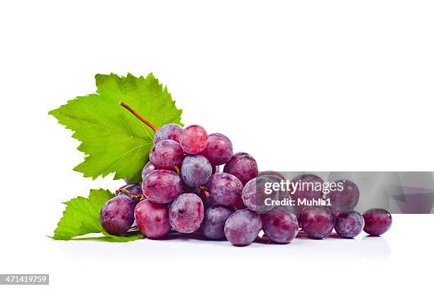 grape - grapes isolated stock pictures, royalty-free photos & images