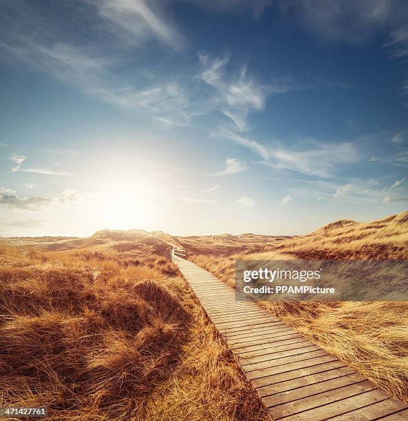 caminho através das dunas - passeio de tábuas imagens e fotografias de stock