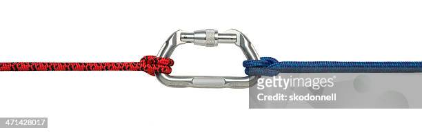 carabiner clip and climbing rope isolated on white - clip stock pictures, royalty-free photos & images