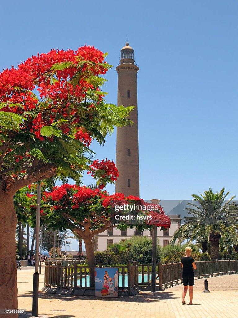 Faro de Maspalomas con llama tree (Gran Canaria, España)