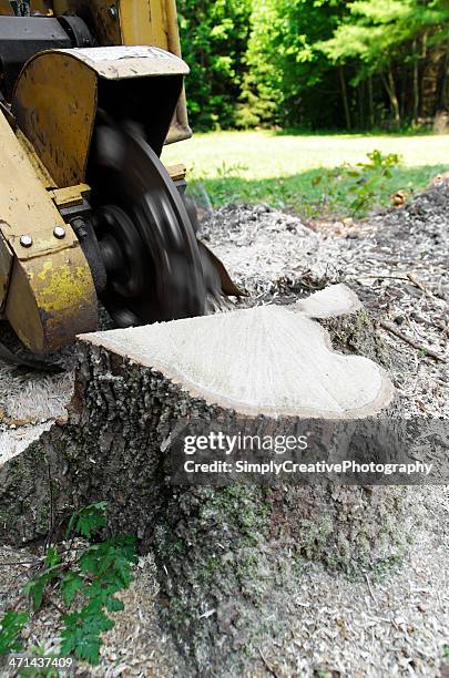 stump grinder - tree stump grinding stock pictures, royalty-free photos & images