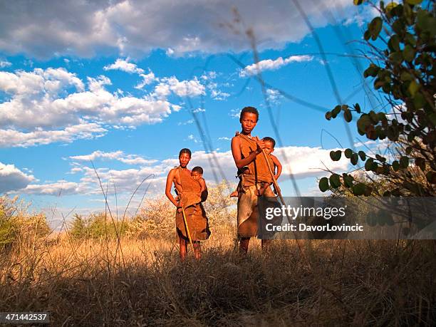 in the bush-expressão inglesa - boxímane imagens e fotografias de stock