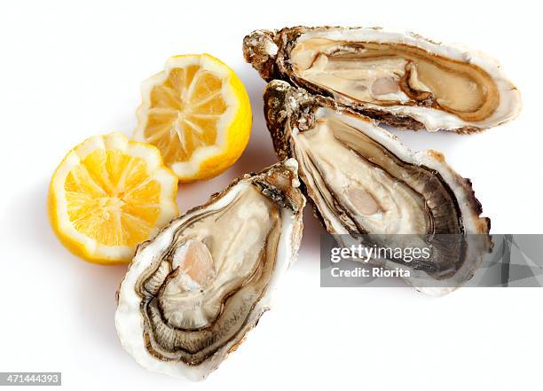 three fresh oysters with lemon - oyster stock pictures, royalty-free photos & images