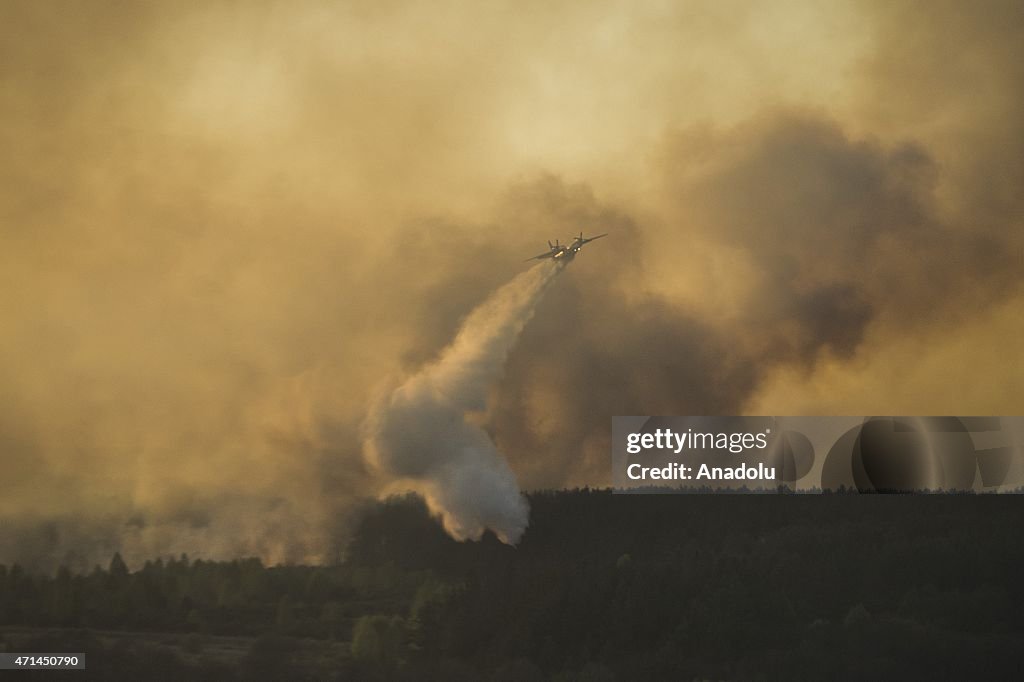 Forest fire at Chernobyl Exclusion Zone in Ukraine