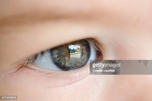 eye macro - baby blue eyes stock pictures, royalty-free photos & images