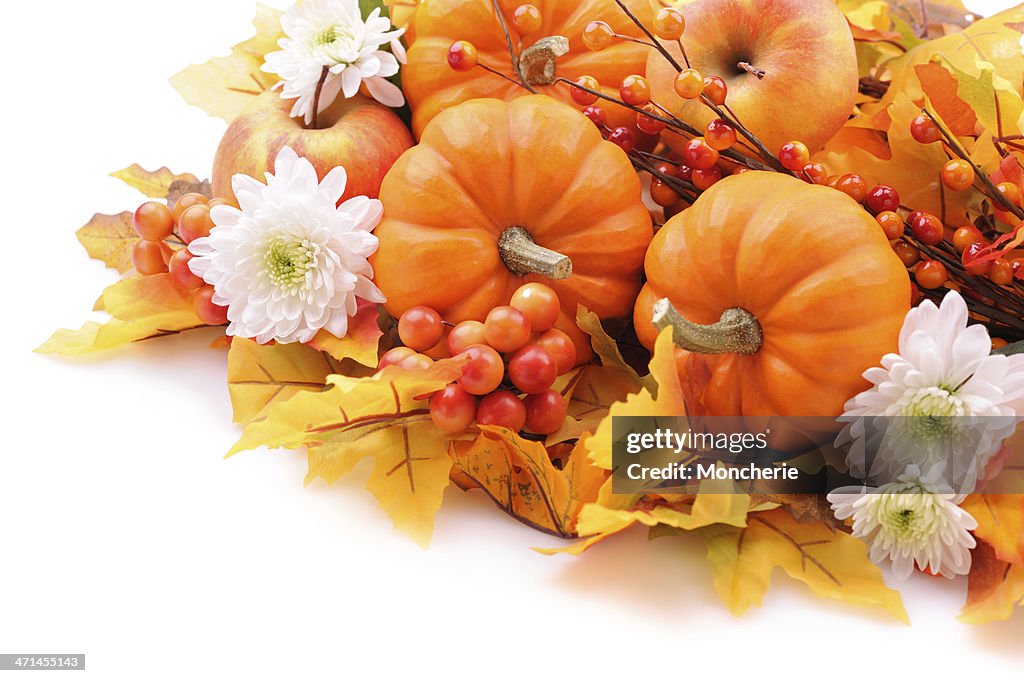 Autumn decoration on white with copy space