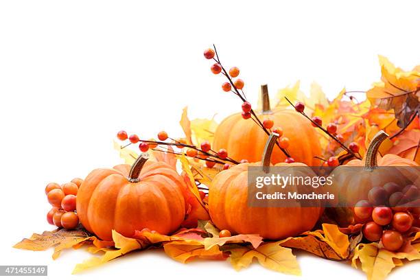 decoración de otoño sobre blanco con espacio de copia - fall harvest fotografías e imágenes de stock