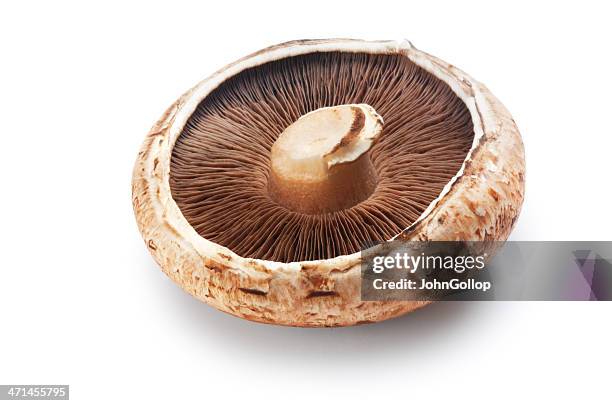 mushroom - portobello mushroom stock pictures, royalty-free photos & images