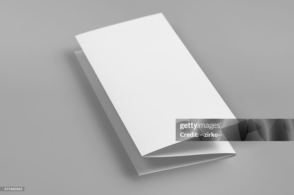 Branco flyer, 6-página, Z-fold (Acordeão