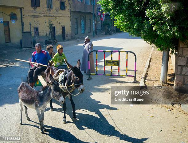 donkey carriage luxor egypt - ass boy stock pictures, royalty-free photos & images