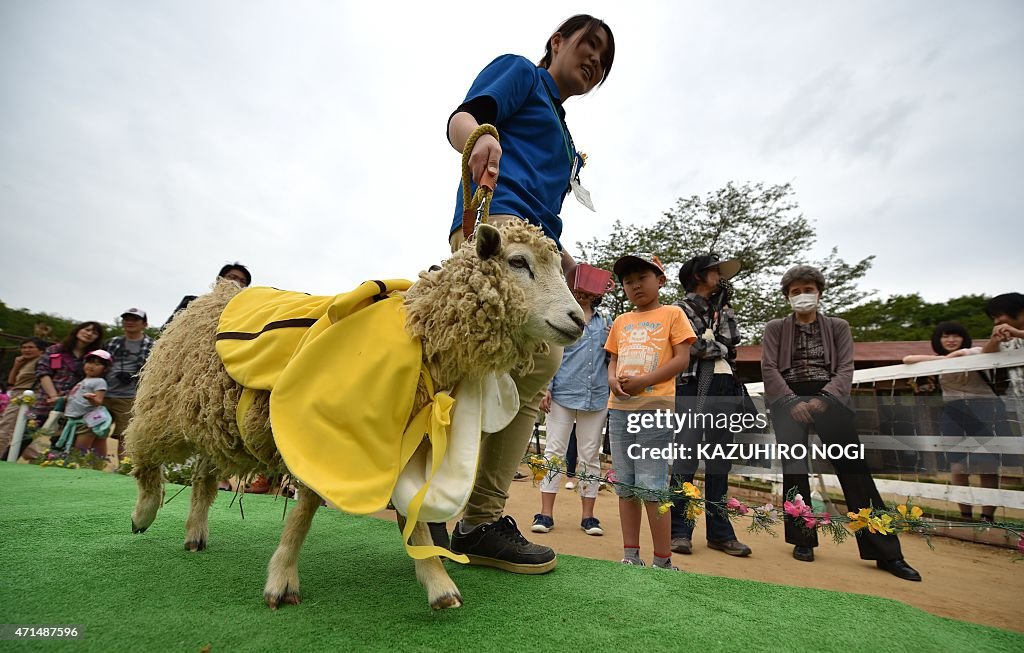 FASHION-JAPAN-ANIMAL