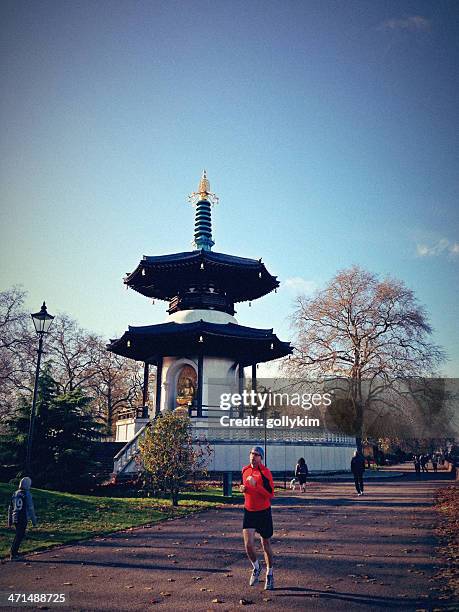 sol de inverno em parque de battersea - battersea park imagens e fotografias de stock