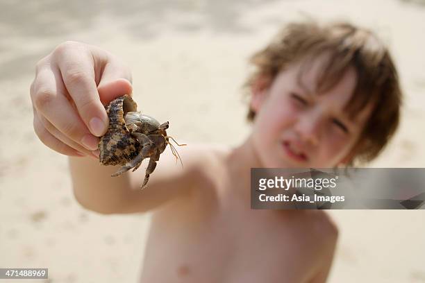 boy holding up hermit crab - hermit crab stock pictures, royalty-free photos & images