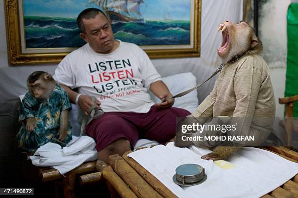 This photo taken on April 22, 2015 shows Jamil Ismail , sitting with his female pet monkey named "Shaki" and his male pet monkey named "JK" , both...