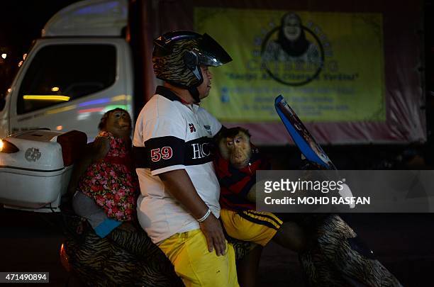 This photo taken on April 25, 2015 shows Jamil Ismail preparing to ride his motorcycle with his female pet monkey named "Shaki" and his pet male...