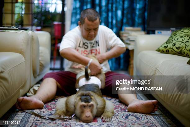 This photo taken on April 22 shows Jamil Ismail dressing his male monkey named "JK" with Baju Melayu Malaysian cultural outfits at his house in Kuala...