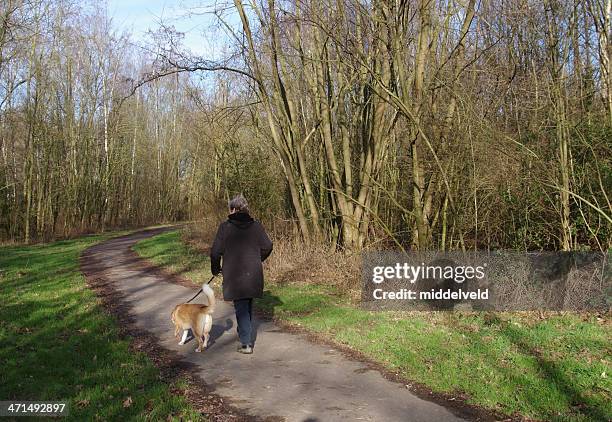 women with dog walking on a winter day - winter woods stock pictures, royalty-free photos & images