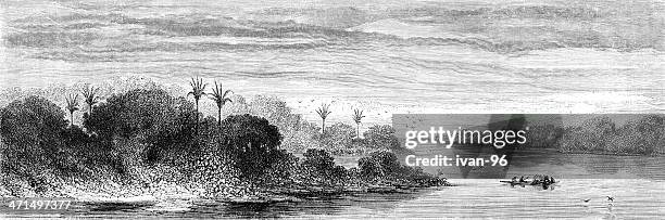 javary river - amazon stock illustrations