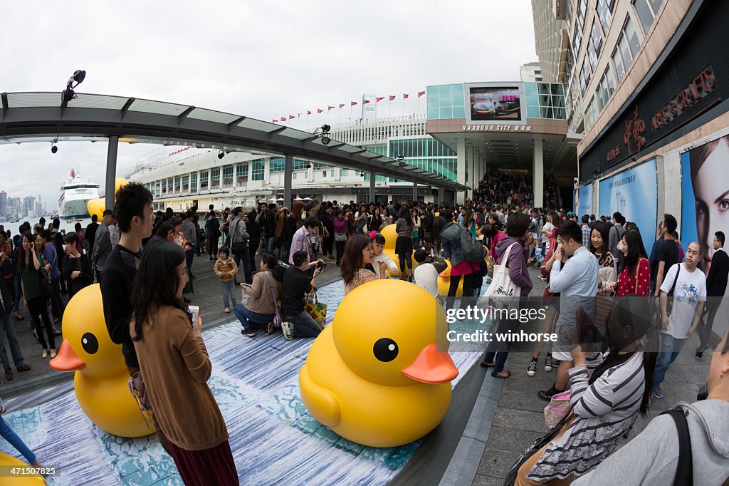 Canard en caoutchouc à Hong Kong