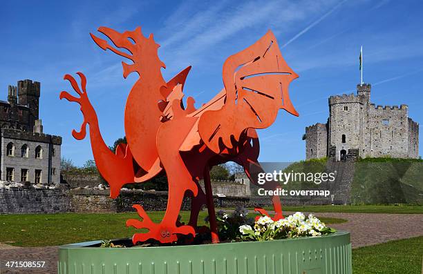 welsh dragon - welsh culture stock pictures, royalty-free photos & images