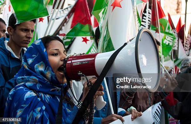 free sahara - public demonstration stock pictures, royalty-free photos & images