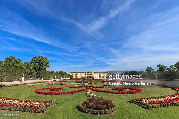 giardini del palazzo di schönbrunn &, vienna - palazzo reale foto e immagini stock